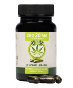 best place to buy cbd capsules