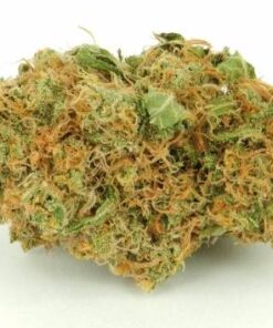 buy Pineapple Express cannabis strain