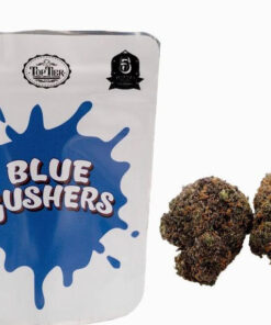 blue gushers weed strain