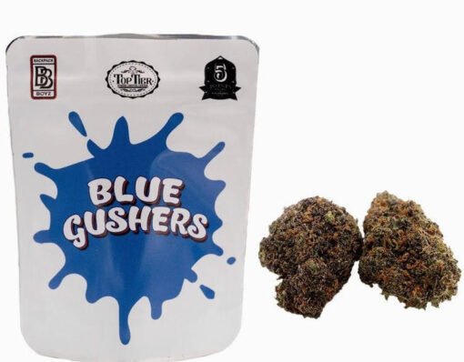 blue gushers weed strain