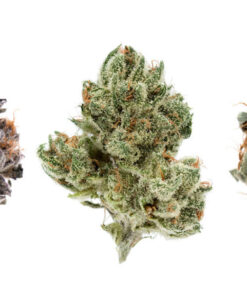 Weed Strains