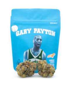 buy gary payton weed