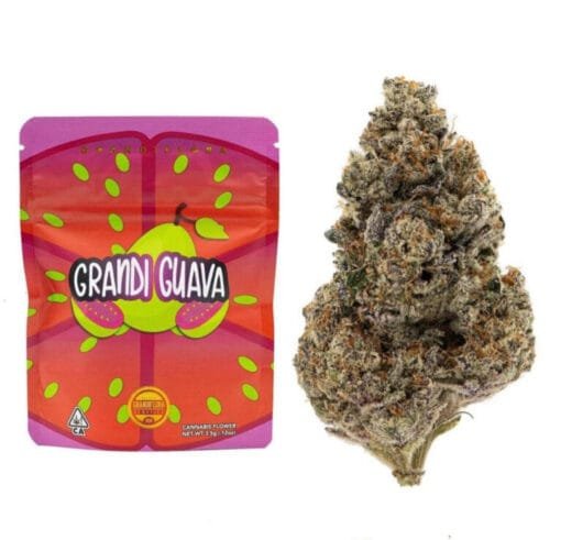 grandi guava weed strain