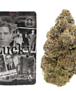 lucky strain backpackboyz