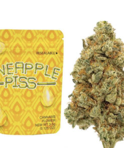 pineapple piss strain