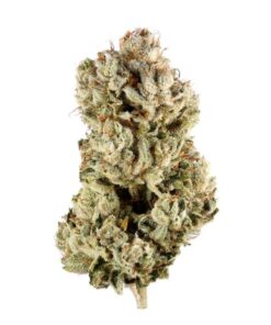 gg4 marijuana strain