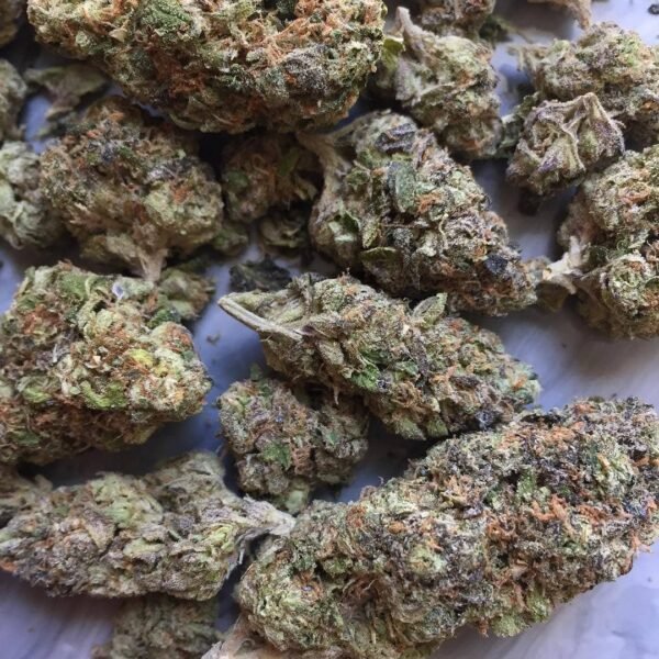 Gelato Strain