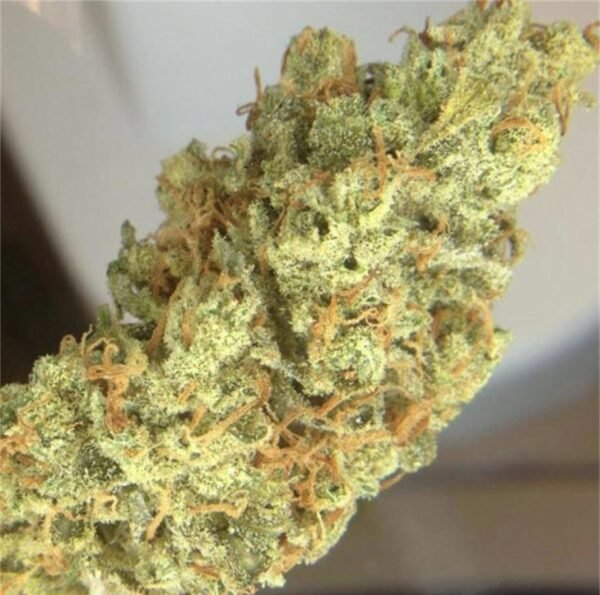 Buy Super Lemon Haze online