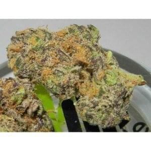 Buy Death Bubba online