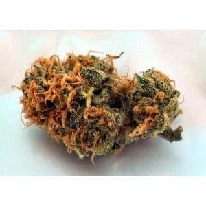 Buy Querkle Kush Online